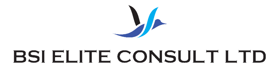 BSI Elite Consult Ltd